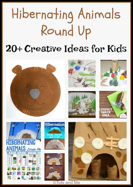 Tots and Me... Growing Up Together: Littles Learning Link Up: Hibernating Animals Round Up Hibernating Animals Preschool, Hibernation Preschool Theme, Hibernating Bear Craft, Hibernation Preschool Activities, January Preschool Themes, Hibernation Crafts, Winter Animals Preschool, Hibernating Animals, Hibernation Preschool