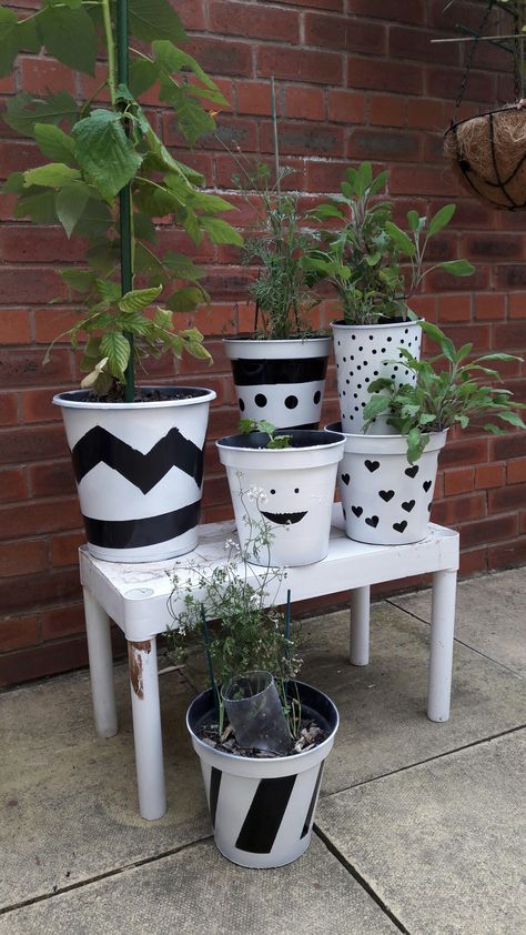 White Plant Pots, Horticultural Therapy, White Flower Pot, Plant Pot Covers, White Spray Paint, Diy Flower Pots, Pot Plants, Diy Cans, Plant Painting