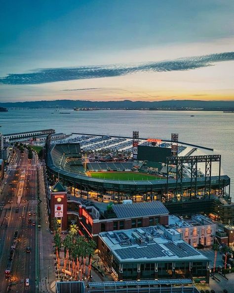 Oracle Park, Mlb Stadiums, San Francisco Photos, Baseball Stadium, San Francisco City, Sf Giants, City Scene, Football Field, San Francisco Giants