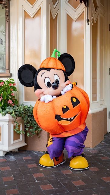 Disney Mascots, Mickey Mouse Disneyland, Disney Characters Costumes, Disney Doodles, Disney Queens, Disney World Characters, Disneyland Halloween, Mickey Mouse Halloween, Halloween Disney