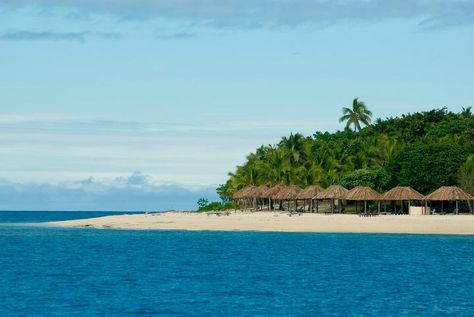 Bounty island Fiji Coral Coast, Nature Hikes, Beach Umbrella, Island Beach, Tropical Beach, Animal Planet, Beach Resorts, Free Stock Photos, Palm Trees