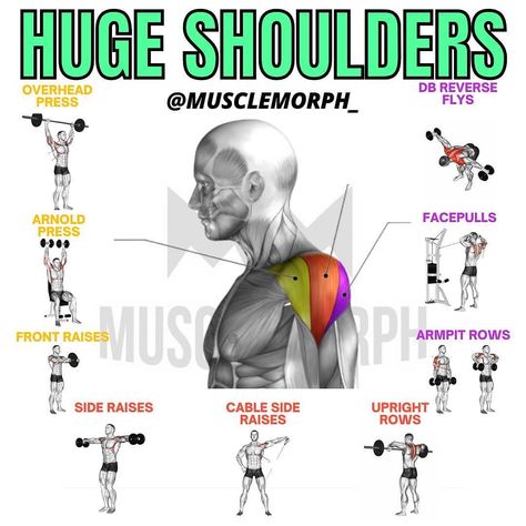 Posterior Shoulder Workout, Front Shoulder Exercises, Front Delt Workout, Front Shoulder Workout, Shoulder Excersizes, Rear Shoulder Workout, 3d Shoulder Workout, Wide Shoulders Workout, Round Shoulders