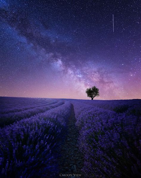 Lavender Field, Trending Pins, Galaxy Art, Purple Sky, Lavender Fields, Amazing Nature, Nature Beauty, Pretty Wallpapers, Night Sky