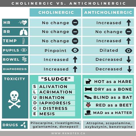 Pharmacology Mnemonics Cns, Np Advanced Pharmacology, Cns Stimulants Pharmacology, Antiviral Pharmacology, Antianginal Pharmacology, Emt Basic Pharmacology, Amphetamines Pharmacology, Pharmacology Paramedic, Antihistamine Pharmacology