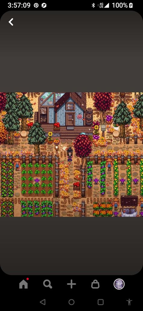 Pathway ideas Stardew Valley Path Design, Stardew Valley Path Ideas, Pathway Ideas, Path Ideas, Path Design, Stardew Valley, Pregnancy Photos, City Photo, Gaming