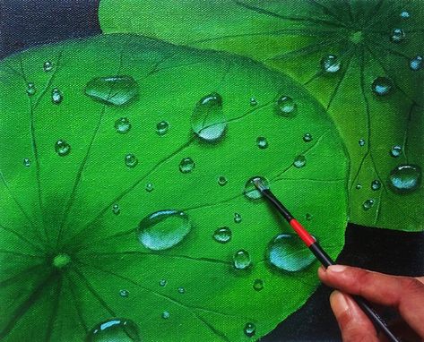 Water drops on lotus leaves acrylic painting on 10*12 inches stretched canvas. Lotus Leaves Painting, Lotus Leaf Painting, Water Drops On Leaf, Acrylic Painting Water, Lotus Paintings, Water Drop On Leaf, Water Drop Drawing, Banana Painting, Leaves Painting