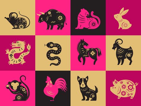 Birth Animal, 12 Chinese Zodiac Signs, Dog Birth, Astrology Dates, Chinese New Year Zodiac, Zodiac Elements, Zodiac Years, Chinese Calendar, Best Zodiac Sign