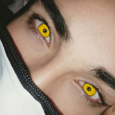 gold eyes // yellow eyes // werewolf // beta // teen wolf // * i really didn't want to do this one but it kept coming up so i decided it was a message Eye Aesthetic, Aesthetic Tumblr, Eyelash Curler, Blue Eyes, Black Hair, Tumblr, Makeup, Hair, Blue