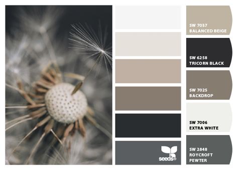 Taupe Mood Board Color Palettes, Taupe Mood Board, Mood Board Color Palettes, Interior Design Brown, Taupe Color Schemes, Color Palette For Home, House Colour, Taupe Colour, Color Boards