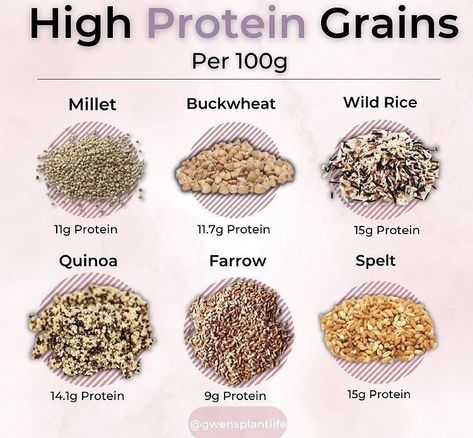 Types Of Grains, Homemade Protein Powder, Protein Foods List, Vegan Info, Plant Based Diet Meals, Pregnancy Vitamins, Plant Based Diet Meal Plan, Healthy High Protein Meals, Inflammatory Diet