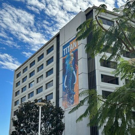 Cal State Fullerton on Instagram: "Sunny skies ☀️ a fresh breeze 🍃 and a beautiful campus atmosphere 🐘🟠🔵 Which campus locations would you like highlighted next? 😌 Let us know! 👇" Cal State Fullerton, Cal State, State College, Sunnies, Let It Be, Instagram