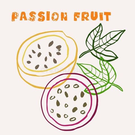 Passion Fruit Art, Passionfruit Illustration, Passion Fruit Tattoo, Passion Fruit Drawing, Passion Fruit Illustration, Fruit Line Drawing, Tattoo Flamingo, Fruit Line Art, Colorful Line Art