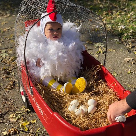 Family Farm Costumes, Chicken Coop Halloween Costume, Chicken Halloween Costume, Farm Costumes For Family, Farm Animal Family Costumes, Family Chicken Costume, Farmer And Chicken Family Costume, Chicken Family Costume, Farm Halloween Costume Family