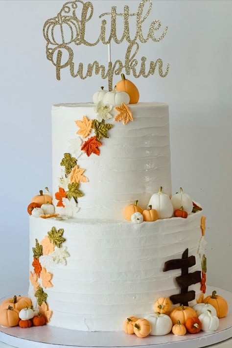 October Baby Shower Ideas For A Girl, Baby Shower Pumpkin Cake, Pumpkin Baby Shower Cake Girl, Gender Reveal Cake Fall Theme, Fall Baby Shower Cakes Girl, Gender Reveal Cake Pumpkin Theme, A Little Pumpkin Is On The Way Cake, Fall Theme Baby Shower Cake, Pumpkin Themed Cake