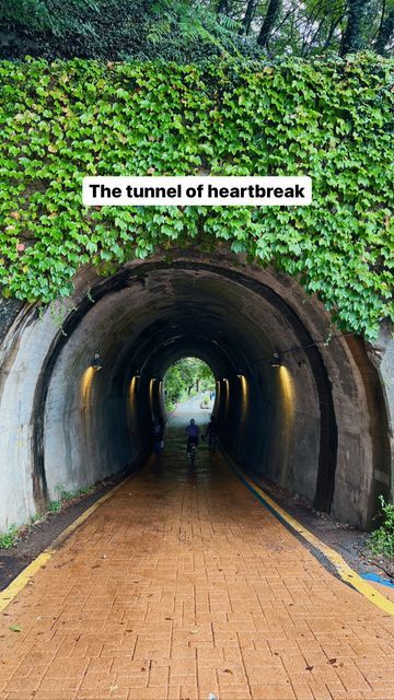 Deema Abu Naser🌸 Drama Community✨ on Instagram: "Trauma tunnel 😭😭😭 Who’s been personally heartbroken by this tunnel? 🙋🏻‍♀️🙋🏻‍♀️ (mememe) This tunnel actually wasn’t only featured in 2521- it was also in other dramas! Can anyone guess which ones? 👀 #kdrama #koreandrama #kdramalocation #southkoreatravel" Kdrama Places, Tunnel Aesthetic, Evergreen Fog, Yonsei University, South Korea Travel, Peaceful Place, 25 21, Countries To Visit, Peaceful Places