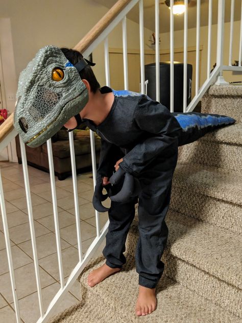 Jurassic World's Blue the velociraptor costume. Head is Mattel's Chomp 'N Roar mask. Sewed the body, tail, and claws. Stripes are fabric paint with glow in the dark paint layer on top. Velociraptor Costume Diy, Jurassic Park Group Costume, Velociraptor Costume, Dinosaur Tails, Blue Jurassic World, Dinosaur Bedroom, Blue Costumes, Dinosaur Costume, Boy Halloween Costumes