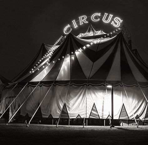 Dark Circus Aesthetic Purple, Goth Circus Aesthetic, Circus Acrobat Aesthetic, The Night Circus Aesthetic, Dark Circus Aesthetic, Grinchmas Ideas, Circus Moodboard, Black And White Circus, Scary Circus