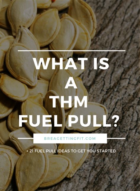 Trim Healthy Mama Meal Plan, Thm Fuel Pull, Thm Diet, Raw Vegan Brownies, Thm Meal Plans, Trim Healthy Mama Diet, Thm Meals, Thm Fp, Fuel Pull