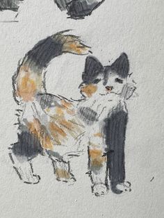 Drawing Tutorial Cat, Cat Eye Drawing, Cat Drawing Sketches, Cat Hand Drawing, Cat Drawings Simple, Drawing Ideas Cute, Cat Drawing Ideas, Sketches Drawing, Cat Drawing Tutorial