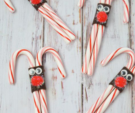 Easy DIY Christmas Party Treat Idea - Reindeer Candy Canes Christmas decorations | Christmas crafts | school party craft idea | holidays #Christmas #crafts #kids Candy Canes Craft, Reindeer Candy Canes, Holiday Party Crafts, Peppermint Candy Ornaments, Reindeer Candy, Candy Cane Reindeer, School Christmas Party, Candy Cane Crafts, Diy Christmas Party