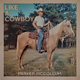 Wedgit Ideas, Western Collage, Parker Mccollum, Cowboy Song, Cowboy Photography, Western Quotes, Country Backgrounds, Western Photo, Western Photography