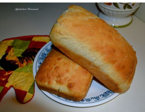 Welcome to Appalachia's Homestead! We are so glad you have joined us on our special journey. This blog is about how a suburban family left it all behind in order to homeschool and homestead in Appalachia. Learn how to begin homesteading and acquire vital skills. So, come along with us as we return to days gone by! Pone Bread Recipe, Appalachian Homestead, Homestead Recipes, Brunch Bread, Biscuit Bread, Kneading Dough, Biscuit Rolls, Dinner Bread, Easy Bread Recipes