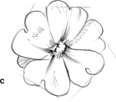 Primrose Flower Drawing, Flower Drawing Tattoo, Primrose Flower, How To Draw Flowers, Girl Drawing Easy, Powells Books, Flower Step By Step, Pagan Festivals, Easy Drawing Steps