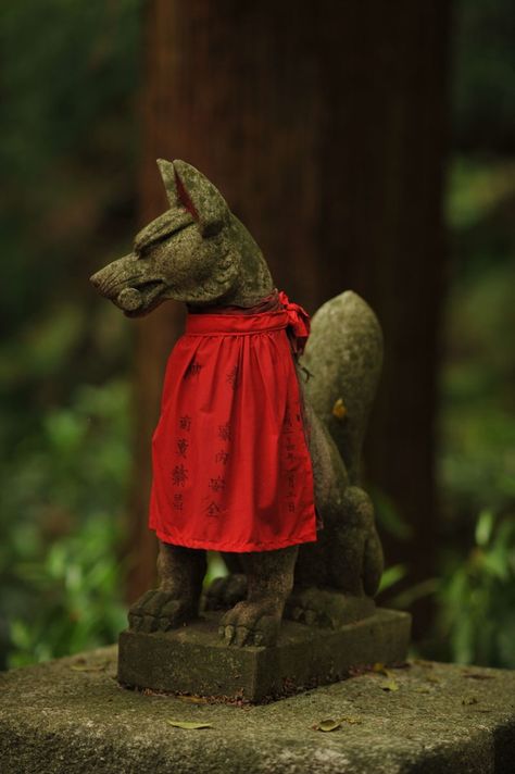 Japanese Statue, Inari Shrine, Japanese Shrine, Shinto Shrine, Fox Spirit, Japanese Folklore, Japan Culture, Kamakura, Japan Photo