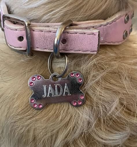 Dog Accessories Aesthetic, Pink Dog Aesthetic, Pink Dog Accessories, Nose Highlight, Devils Night Series, Winter Ashby, Hollaback Girl, Devils Night, Dog Aesthetic