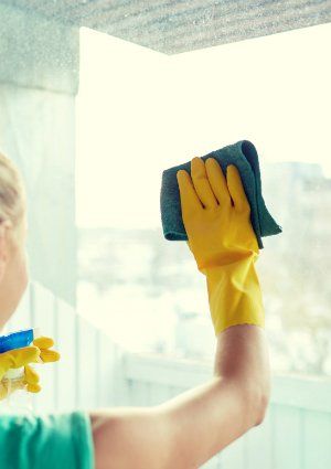 How to Remove Paint from Glass - Cleaning a Window Paint Glass Windows, Remove Paint From Glass, How To Paint Glass, How To Remove Paint, Window Washing, Window Views, Homemade Toilet Cleaner, Remove Paint, Clean Baking Pans