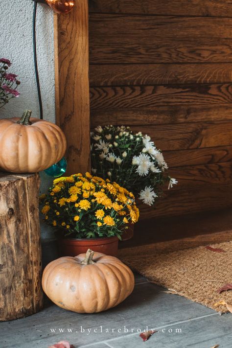 fall planter front porch ideas Fall Planter Ideas, Fall Planters, Fall Tablescapes, Planter Ideas, Nature Inspired Decor, Woodland Decor, Fall Mantel, Leaf Garland, Fall Decorating