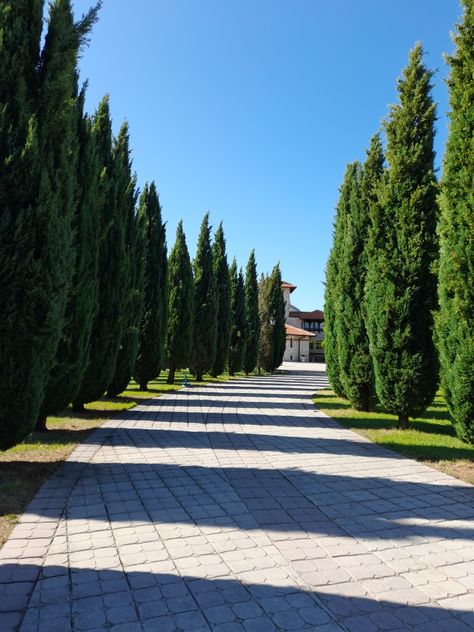 green, inspo, old, monastery, orthodox, christian, Gracanica, Hercegovacka Gracanica, orthodox christian, mystic, secret Christian Mystic, Green Inspo, Green