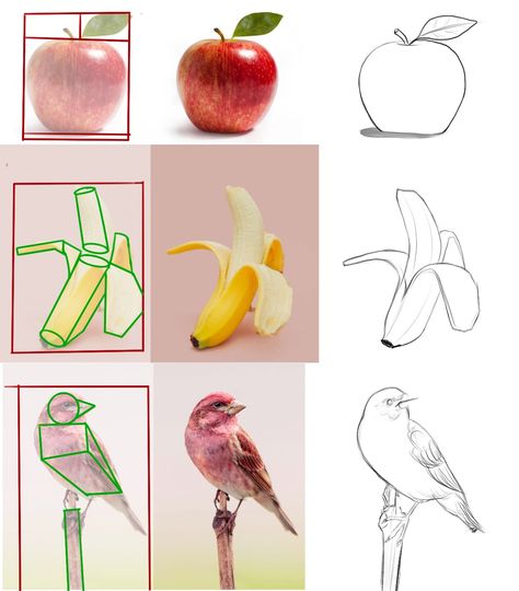 How To Draw Anything, Fruit Art Drawings, Drawing Hair Tutorial, Concept Art Tutorial, Want To Draw, Art Basics, Drawing Cartoon Characters, Perspective Art, Basic Drawing