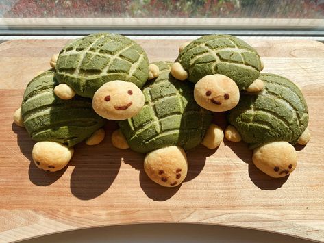 Matcha Turtle Bread, Turtle Conchas Recipe, Matcha Conchas, Cute Conchas Bread, Turtle Conchas, Turtle Shaped Food, Cottagecore Snacks, Cute Conchas, Turtle Bread Recipe