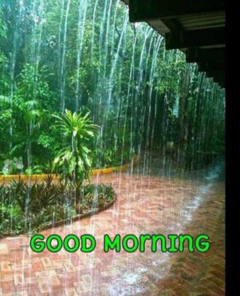 Rain Good Morning Images, Good Morning Rainy Day Quotes Rain, Rain Good Morning Rainy Days, Good Morning With Rainy Picture, Raining Good Morning, Best Good Morning Images Hd, Rainy Good Morning Images, Raining Gif, Good Morning Rain