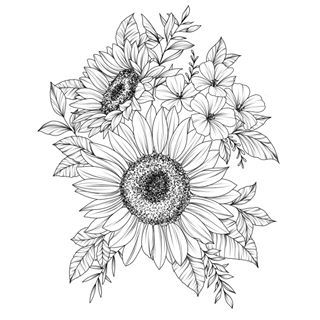 Gerber Daisy Drawing, Daisy Drawing, Kunst Tattoos, Sunflower Drawing, Gerber Daisy, Sunflower Tattoos, Gerber Daisies, Wolf Tattoos, 수채화 그림