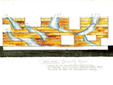 Simmons Hall at MIT: By Steven Holl. Steven Holl Architecture, Steven Hall, Interactive Spaces, Cafe Street, Night Cafe, Dining Interior, Section Drawing, Steven Holl, John Pawson