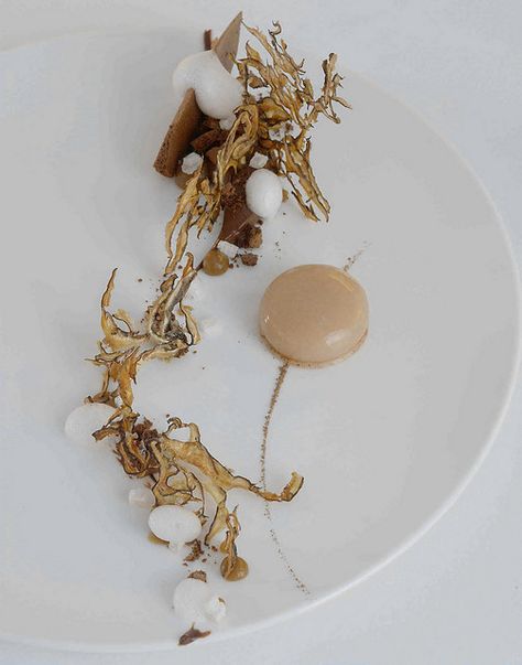 Jordan Kahn: Chocolate, Pear, and Mushrooms Mushroom Mousse, Modernist Cuisine, Crunchy Chocolate, Dessert Plating, Food Critic, Chocolate Art, Molecular Gastronomy, White Plate, Fancy Desserts