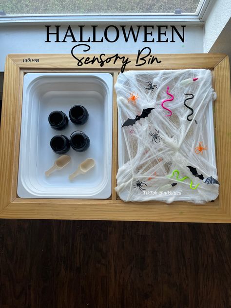 Halloween sensory bin halloween activity #halloweenactivities #activitiesforkids #sensorybin #sensory #toddleractivity #halloween #toddlerhalloween #diyactivities #halloweendiy Halloween Sensory Bin, Halloween Sensory, Halloween Activity, Spider Webs, Toddler Halloween, Sensory Bin, Diy Activities, Halloween Spirit, Halloween Activities