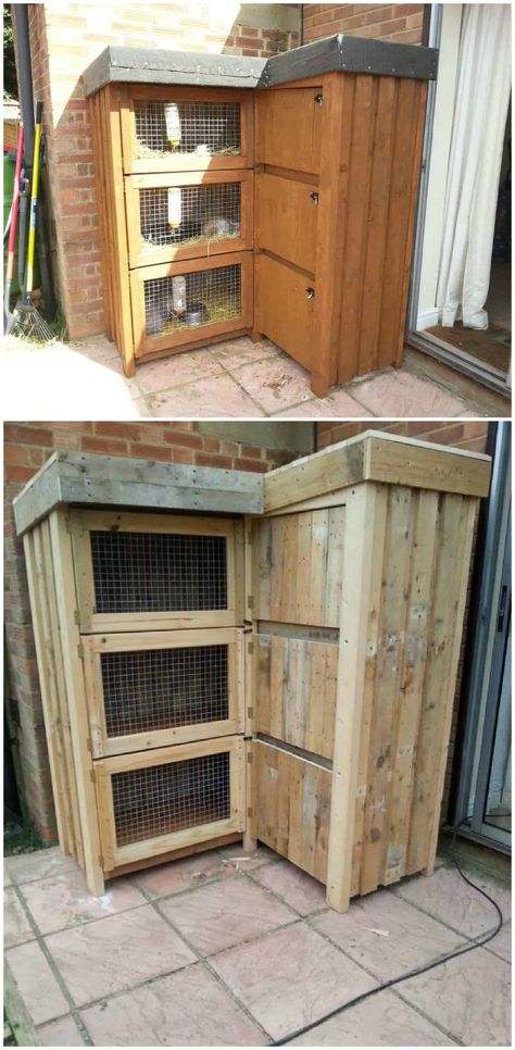 Rabbit Farm, Meat Rabbits, Rabbit Ideas, Rabbit Stuff, Raising Rabbits, Hutch Makeover, 1001 Pallets, Rabbit Cages, Pallet House