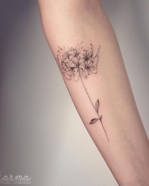 Spider lily 💐… | Honeysuckle tattoo, Cool tattoos, Lily tattoo Tattoos Lily, Spider Lillies, Lily Tattoo Ideas, Tattoos Elegant, Lily Tattoo Meaning, Spider Lily Tattoo, Baddie Tats, Honeysuckle Tattoo, Lycoris Radiata