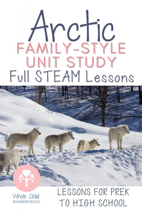 The Very Very Far North Activities, Mountain Unit Study, Moose Unit Study, Inuit Unit Study, Otter Unit Study, Alaska Homeschool Unit, North Pole South Pole Activities, January Goals, Curriculum Themes