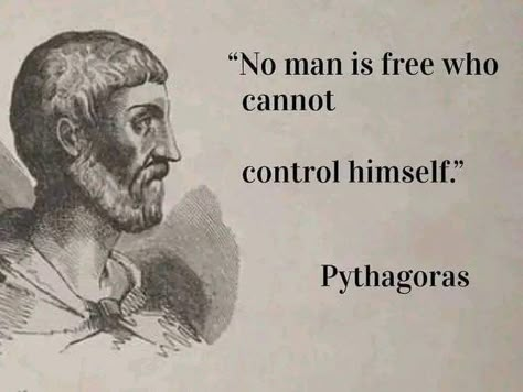 Wisdom Quotes Truths, Greek Philosophy, Man Quotes, Perspective Quotes, Stoicism Quotes, Stoic Quotes, Man Up Quotes, Philosophical Quotes, Warrior Quotes