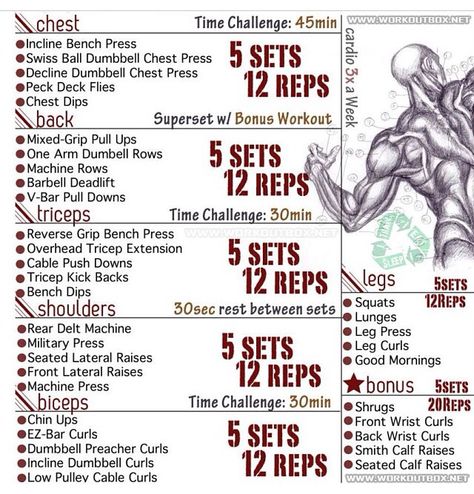 Supersets Ripped Workout Men, Muscle Chart, Get Ripped Workout, Arnold Workout, Mass Workout, Lower Workout, Powerlifting Workouts, Hit Training, Exercises For Men