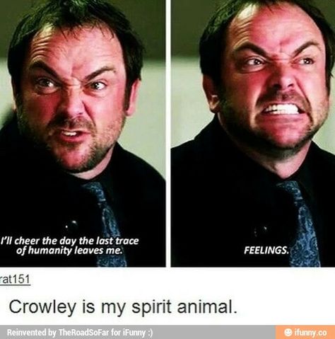 Crowley Supernatural Crowley, Spn Memes, Supernatural Quotes, Supernatural Tv Show, Supernatural Destiel, Supernatural Memes, Supernatural Fans, Odaiba, Supernatural Funny