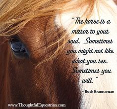 Buck Brannaman quote Quotes About Connection, Equine Medicine, Horsemanship Quotes, Buck Brannaman, Equine Quotes, Horse Whisperer, Connection Quotes, Inspirational Horse Quotes, Equestrian Quotes