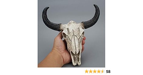 Amazon.com: Bull Head Skull Wall Hanging Art Cow Skull Wall Plaque 3D Realistic Cow Skull Statue Skeleton Animal Head Wall Home Cow Skull Design Sculpture : Home & Kitchen Antelope Horns, Skull Wine, Animal Head Wall, Skull Statue, Goat Skull, Longhorn Skull, Longhorn Cow, Dimensional Wall, Animal Bones