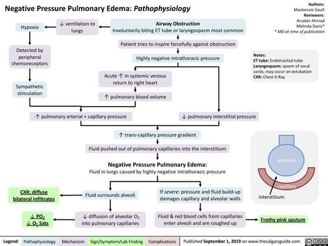 Negative Pressure Pulmonary Edema: Pathophysiology | Calgary Guide Pulmonary Pathophysiology, Med Notes, Physician Assistant School, Nursing Classes, Medical Notes, Mcat Study, Respiratory Therapy, Medical Facts, Medical School Studying