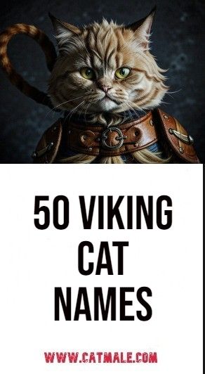 50 Viking Cat Names: Unleash the Norse Spirit in Your Feline Friend Brown Cat Names, Norse Mythology Names, Best Cat Names, Nordic Names, Catio Plans, Boy Cat Names, Girl Cat Names, Norse Names, Viking Names