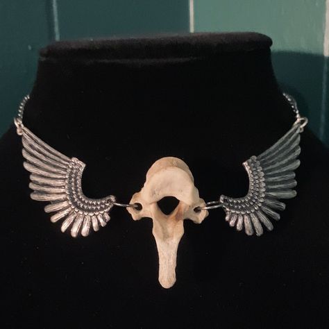 Real Coyote Vertebrae Bone Bird Wings Pendant Choker / - Necklace Ethically sourced - Available for purchase on Poshmark and Mercari. Check my bio for the links to them. #goth #gothic #gothicstyle #gothicfashion #gothfashion #punkstyle #festivalfashion #grungestyle #grungefashion #poshmarkseller #poshmark #mercari #mercariseller #taxidermy #taxidermist #vultureculture #bones #oddities #oddity #animalbone #animalbones #animalbonejewelry #vulturecultureart #vultureculturejewelry #postapocalyp... Animal Bone Jewelry, Bone Accessories, Jewelry Goth, Wings Pendant, Preppy Fashion, Vulture Culture, Bone Jewelry, Bird Wings, Animal Bones